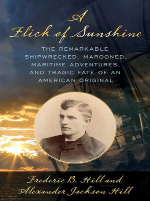 cover image of A Flick of Sunshine